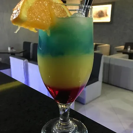住宿加早餐酒店 Hisar International
